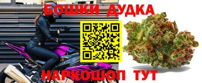 стаф Кунгур