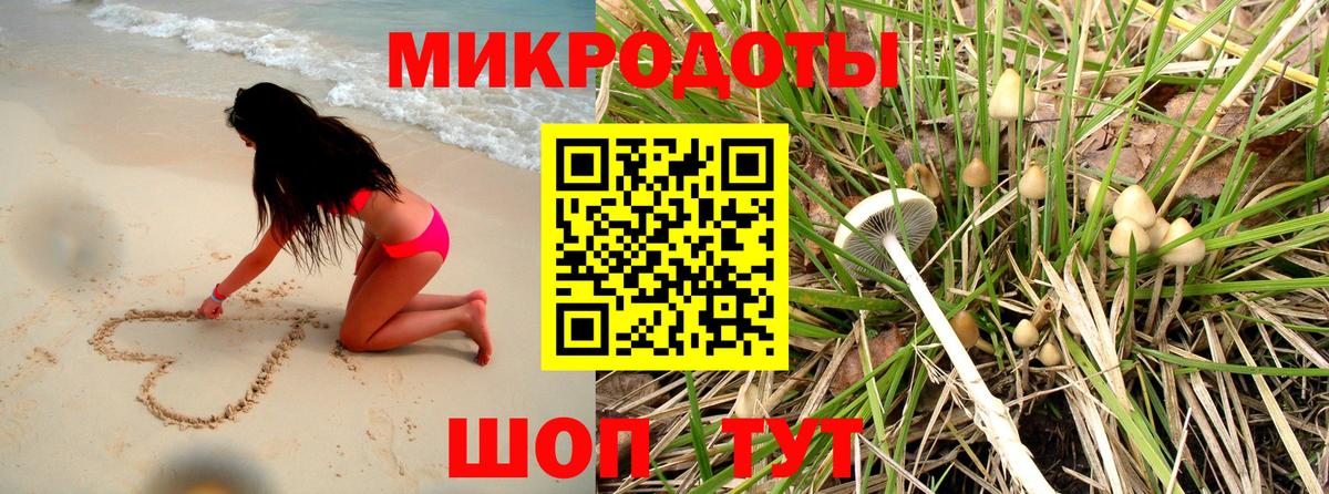 Галлюциногенные грибы мухоморы Черняховск