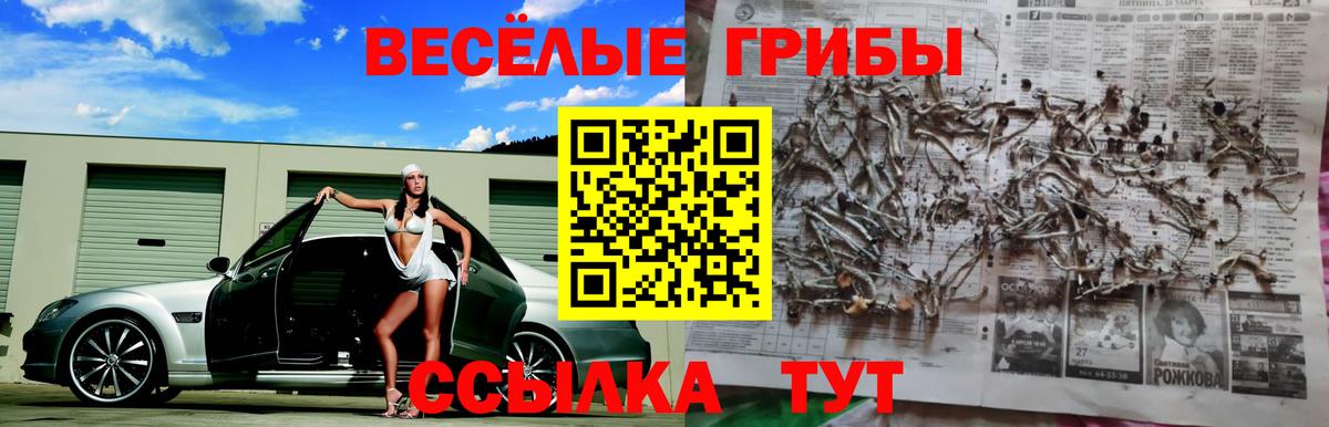 Черняховск  Галлюциногенные грибы ЛСД  Псилоцибиновые грибы мицелий  Вход с VPN 